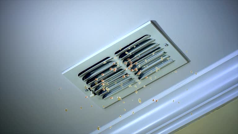 Best Professional Duct Cleaning Services  in Clay, AL