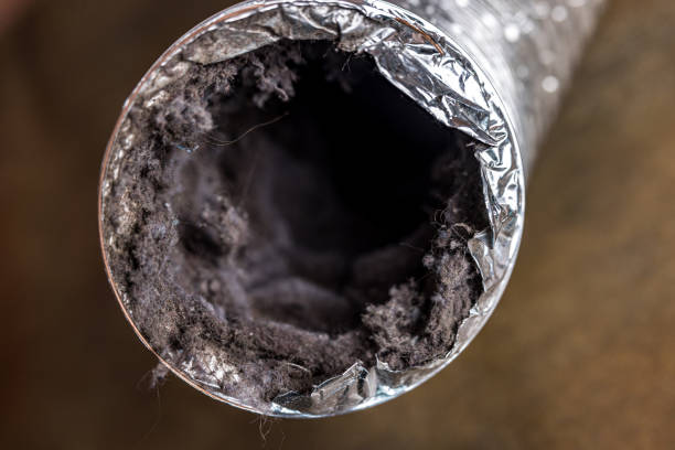 Best Best Air Duct Cleaning Company  in Clay, AL