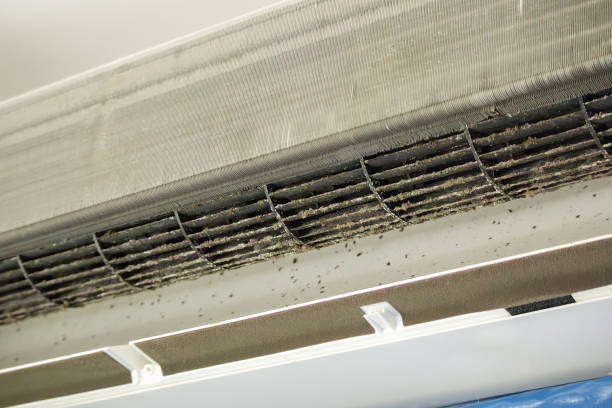 Best Affordable HVAC Duct Cleaning  in Clay, AL